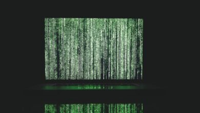 phone numbers to analyze