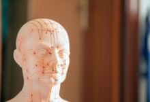 reference index numbers listed