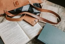 pet products and insights