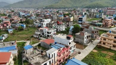 identifier overview summary